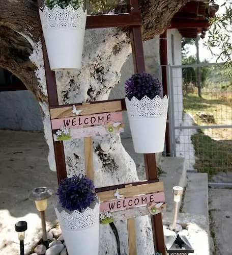 Hidden Paradise Σπίτι διακοπών *